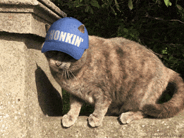 200.gif