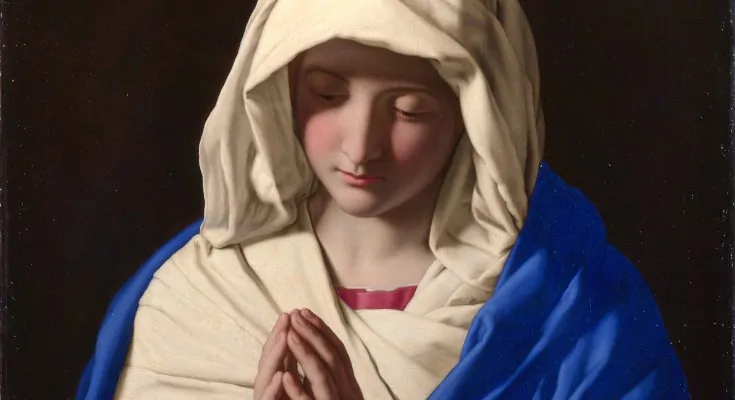 proyectoemaus.com