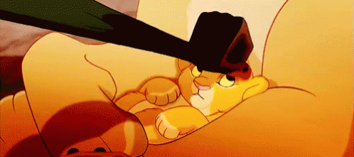 lion-king-cub.gif
