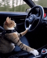 Vibe Adelantar GIF