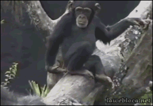 tumblr_mzikhtiTDj1s02vreo1_400.gifv