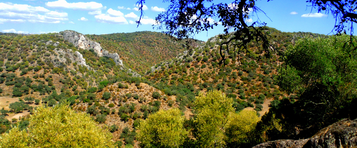 sierra-morena-cordobesa-portada.jpg