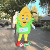 GIF by Minuto Verde