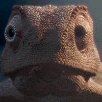 200.gif
