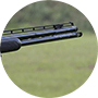 gunandtrophy.com