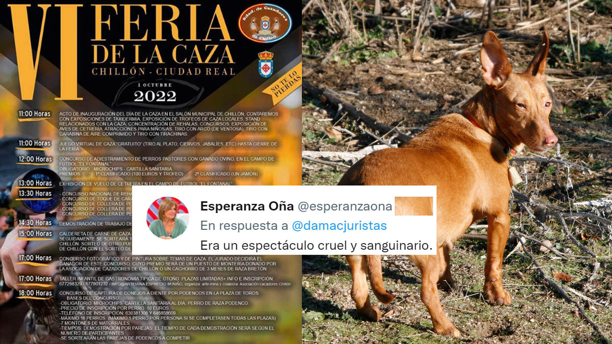www.club-caza.com