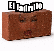 Ladrillo GIF