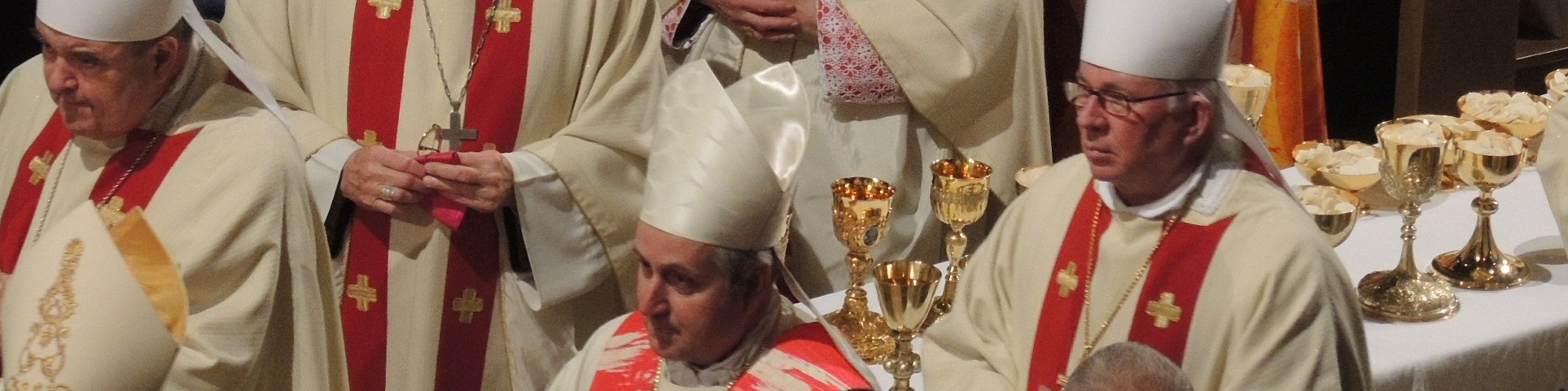catholicinvestments.com