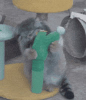 200.gif