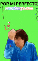 Familia Amigo GIF by Murcianys LLC