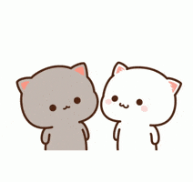 Cat Love GIF by NGcorpvtc