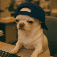 200.gif