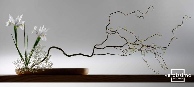 ikebana-arte-japones-verdissimo.jpg