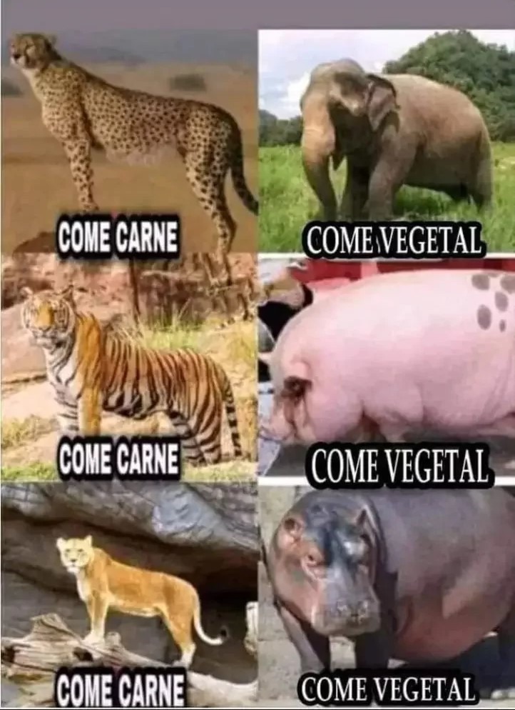 64fdf664727a4.jpeg