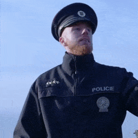200.gif