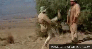 hKKAVmI.gif