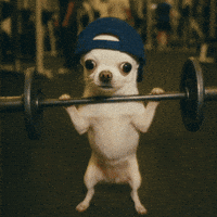 200.gif