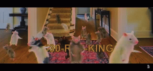 rats-dance.gif