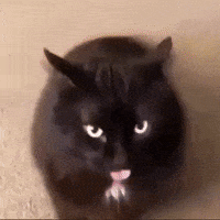 200.gif