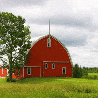 Farm Howdy GIF