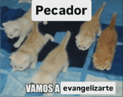 Fun Instagram GIF