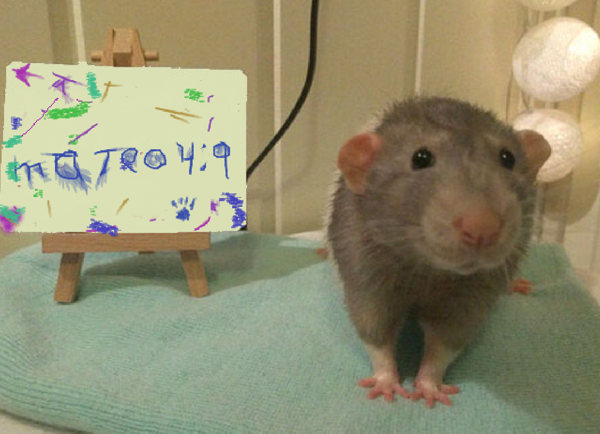 ed0a23bb1183a614045d2f8141735c71.png