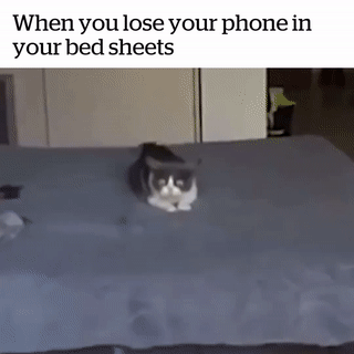 M0xW2v.gif