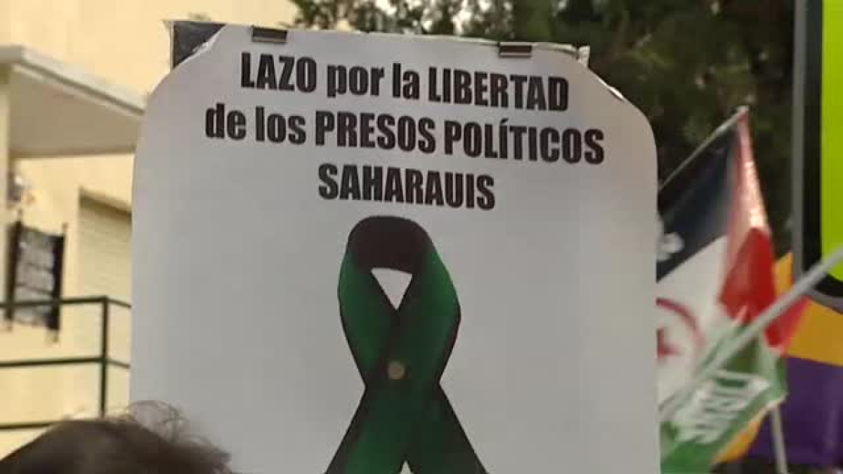 www.publico.es