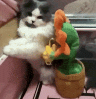Grinding Leave Me Alone GIF