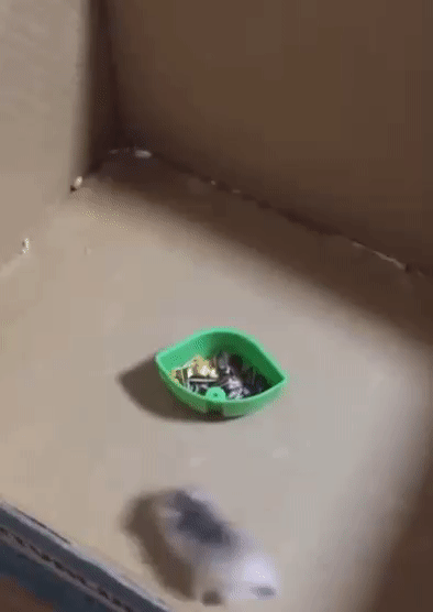 baddce34c07326537f7b3503530f23d9.gif