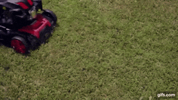 200.gif