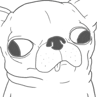 Fun Dog GIF by godgwawa