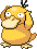 psyduck.png