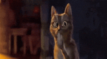 surprise GIF