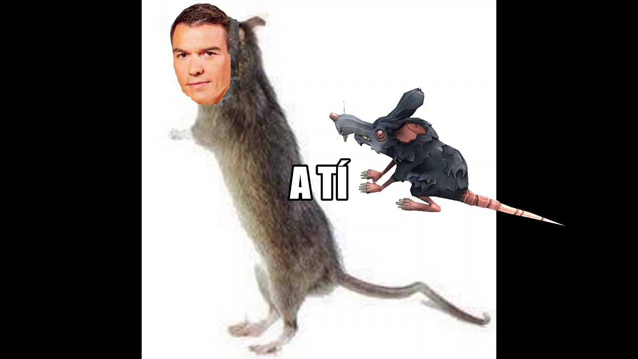 maxresdefault.jpg