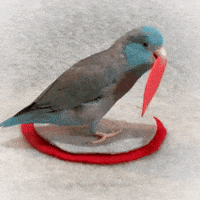 I Love You Hearts GIF by Zhot Shotz