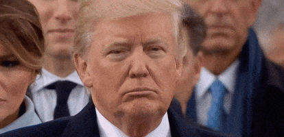 sad president trump GIF