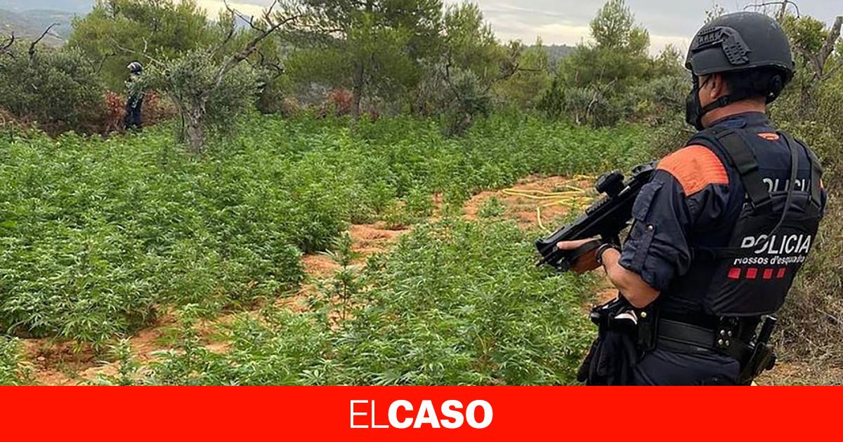 elcaso.elnacional.cat