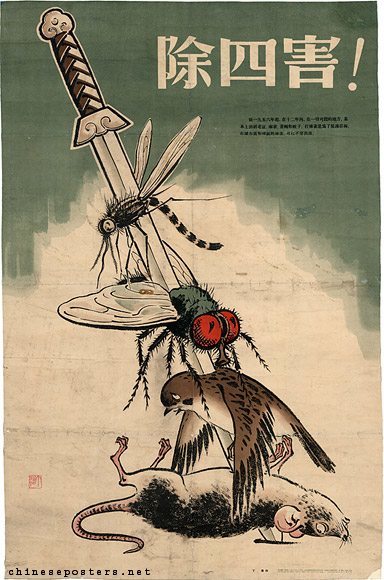 poster.jpg