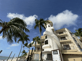 Playa Del Carmen GIF by CGTraveler - Carlos Garrido - Adventrgram