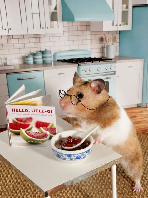 5359e4037f45b4a812b9b5e93a3957db--chefs-zoey.jpg