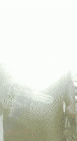 Medvet Endoscopy GIF by Cursos Vet BR