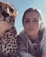Aww Cuteness GIF