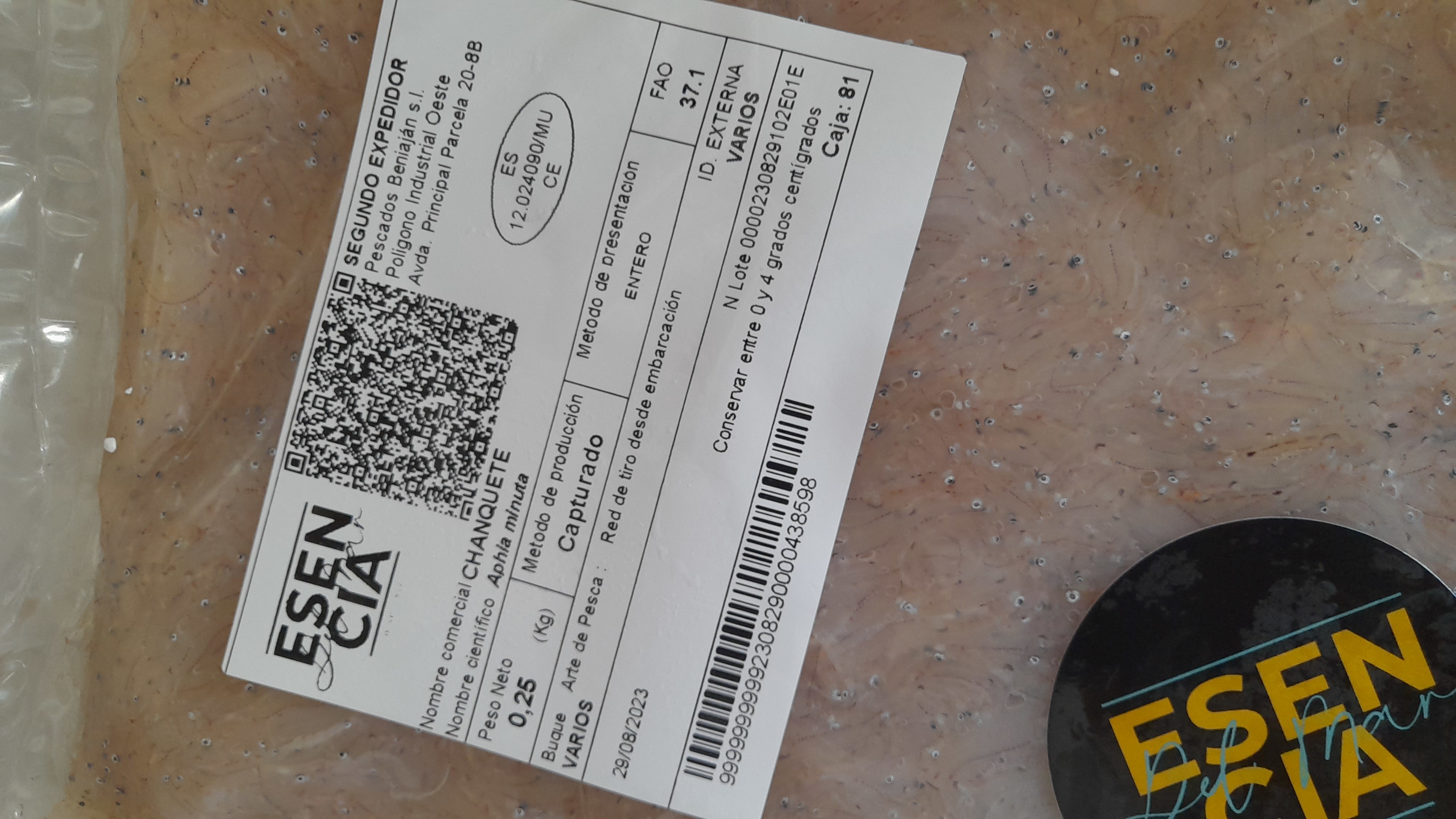 ylgFVuU2_o.jpg